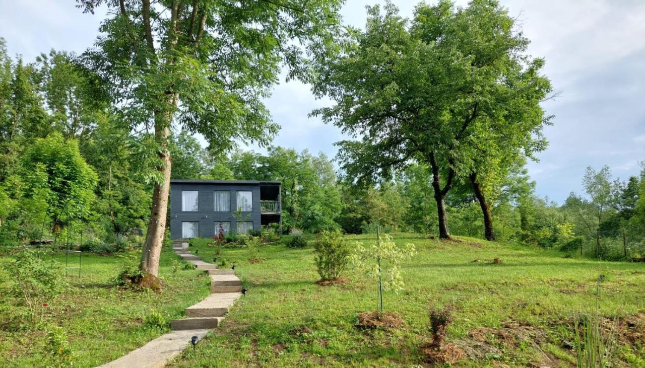 Casa De Pe Un Deal-Provita De Sus-Prahova Экстерьер фото