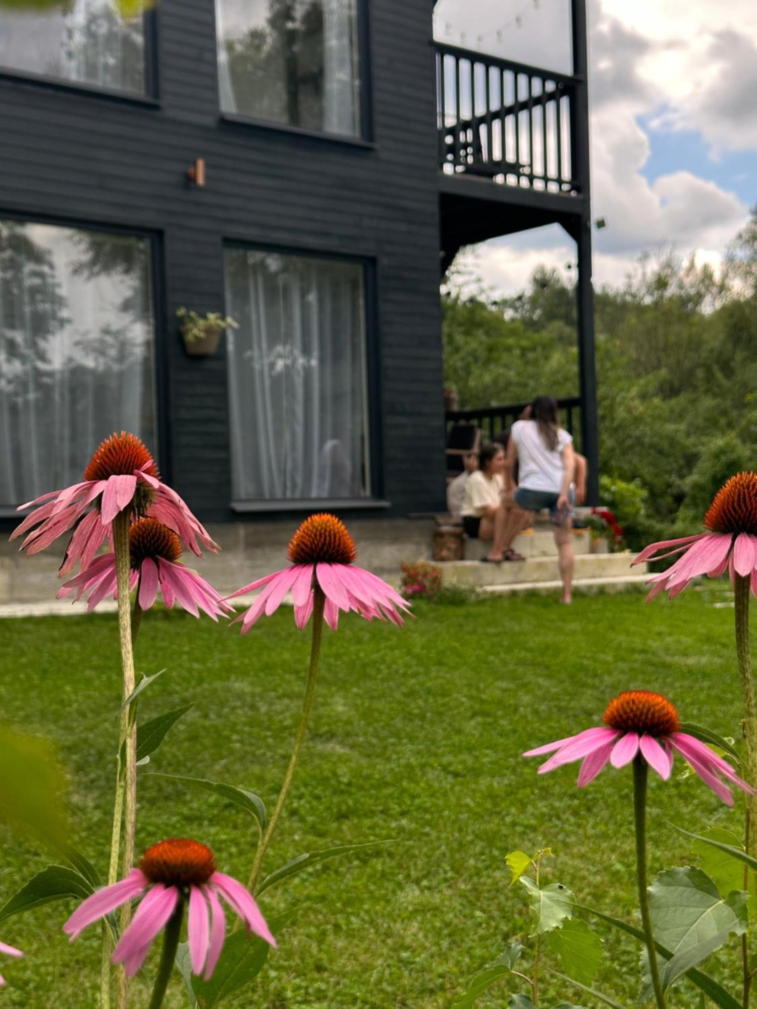 Casa De Pe Un Deal-Provita De Sus-Prahova Экстерьер фото